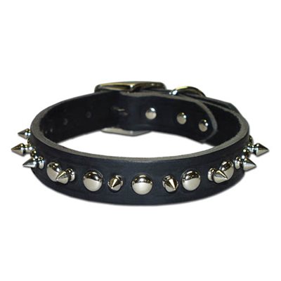 Latigo Spike & Stud Collar 1"x20" Black