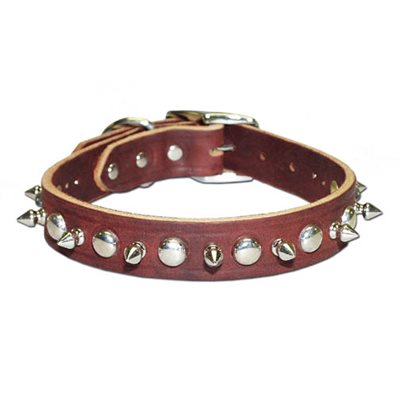 Latigo Spike & Stud Collar 1"x20" Burgundy