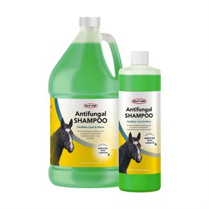 Durvet Antifungal Equine Shampoo - 32oz