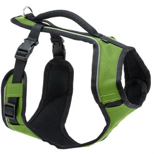 PetSafe® EasySport Harness, Large, Nylon, Apple