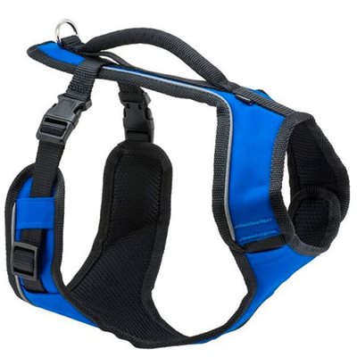 PetSafe® EasySport Harness, Medium, Nylon, Blue