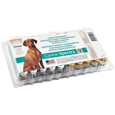 canine spectra 10 dog vaccine