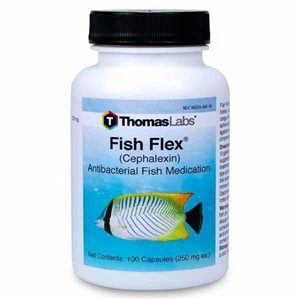 Fish-Flex -250mg -30ct - Cephalexin