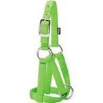 Halter Cow W / Control Chain Lime Green