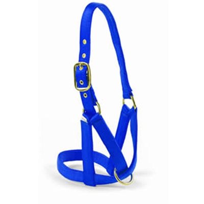 Valhoma® Utility Turn-Out Halter with Floating Ring, Nylon, Blue, For Cow