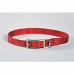 Valhoma® 380 12 RD Single Layer Collar, 3 / 8 inch x 12 inch, Red, For Dog