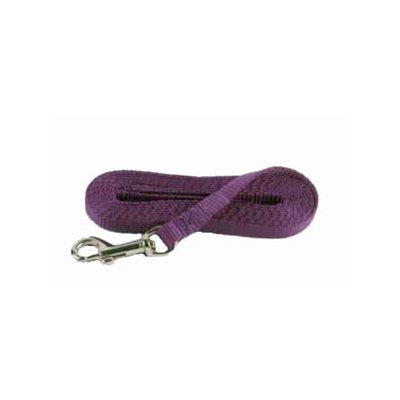 Leash 3 / 8" x 4' Single Layer Purple