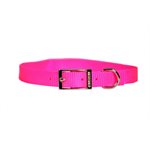 Valhoma® 730 14 HP Single Layer Collar, 3 / 4 inch x 14 inch, Hot Pink, For Dog