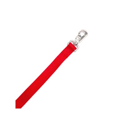 Leash 1" x 6' Single Layer Red