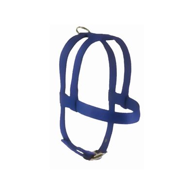 Harness 1" x 32" Dbl Blue