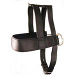 Pulling Harness W / Neoprene 32" Black