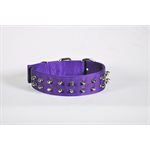 Collar 1 3 / 4" x 20" Spike Purple