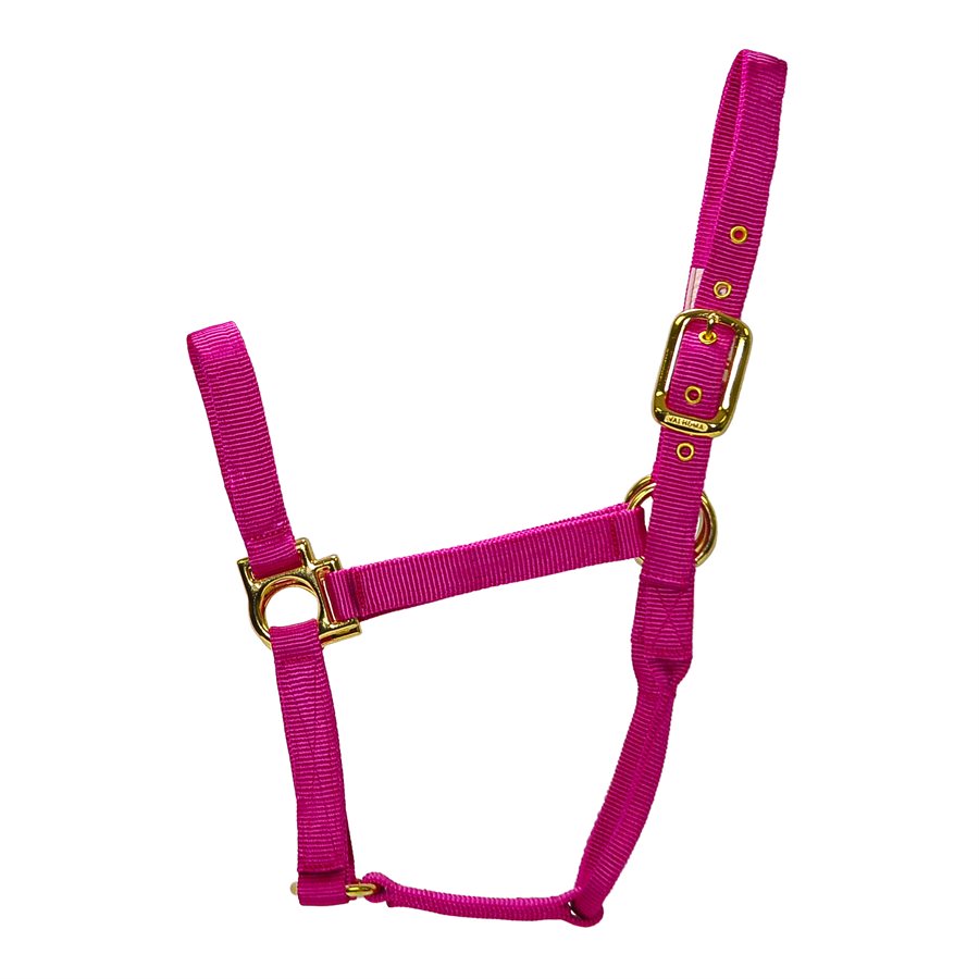 Valhoma® 811 Q RO Value Q Halter, Roseberry, For Medium (800-1100 lb) Horse