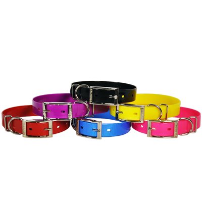 Collar 1" X 22" Plastic Coated Hot Pink