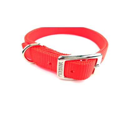 Collar 1" x 22" Dbl Hot Orange