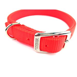 Collar 1" x 22" Dbl Hot Orange