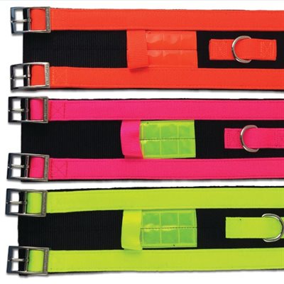 Big Hogg Dogg Collar - 18" - Hot Pink