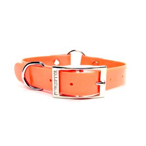 Collar 1" x 24" Plastic Center Ring Hot Orange