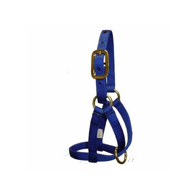 Valhoma® Style GH Halter, Nylon, Blue, For Billy Goat