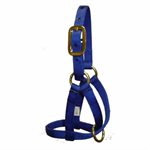 Valhoma® Style GH Halter, Nylon, Blue, For Billy Goat